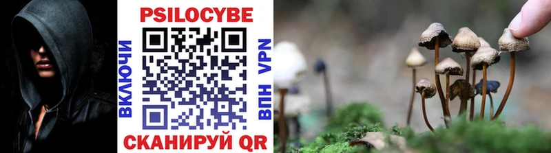 где можно купить   Бологое  Галлюциногенные грибы прущие грибы 