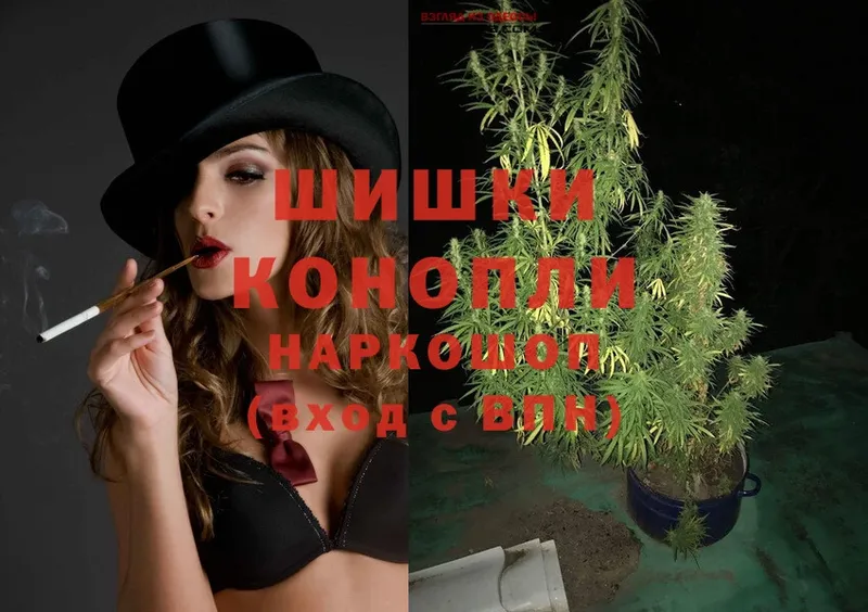 shop формула  Бологое  Марихуана OG Kush 